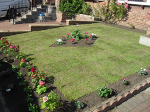 Beautifully laid garden turf